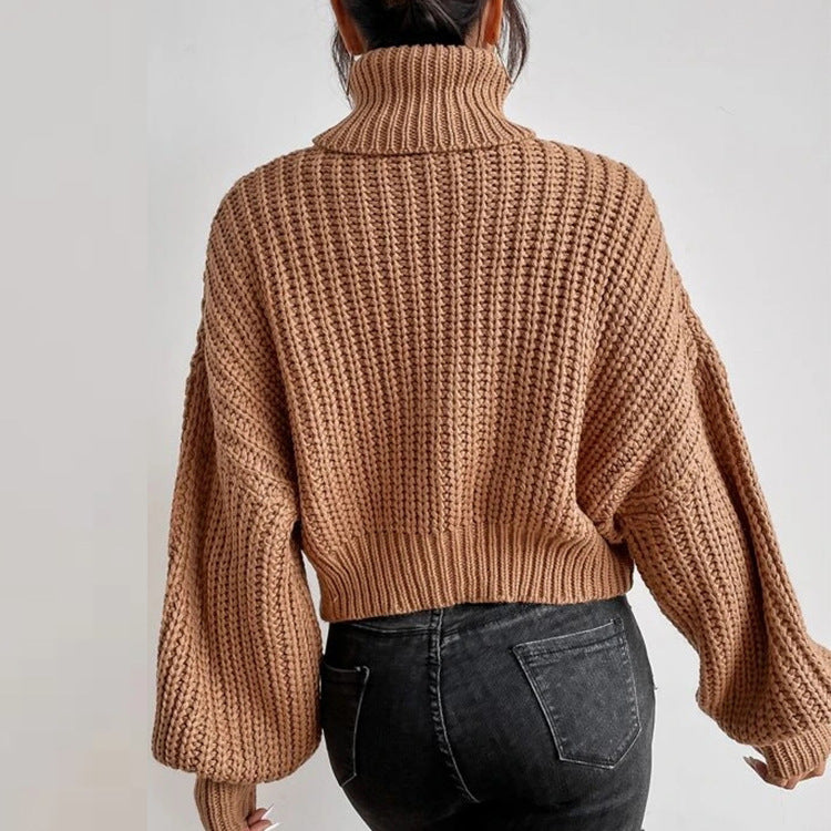 Loose Turtle Neck Knitted Long Sleeve Sweater