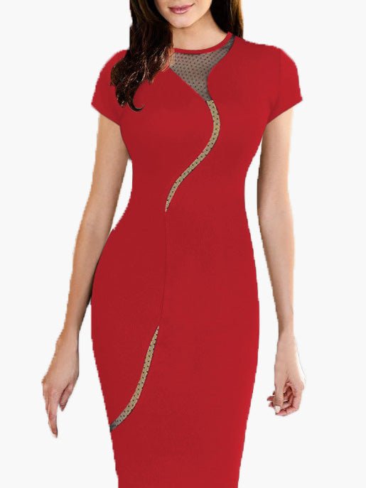 Women's Dresses Crewneck Mesh Panel Slim Fit Dress