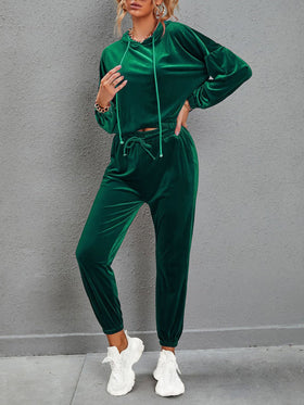 Women's Sets Solid Color Gold Velvet Long Sleeve Casual Set