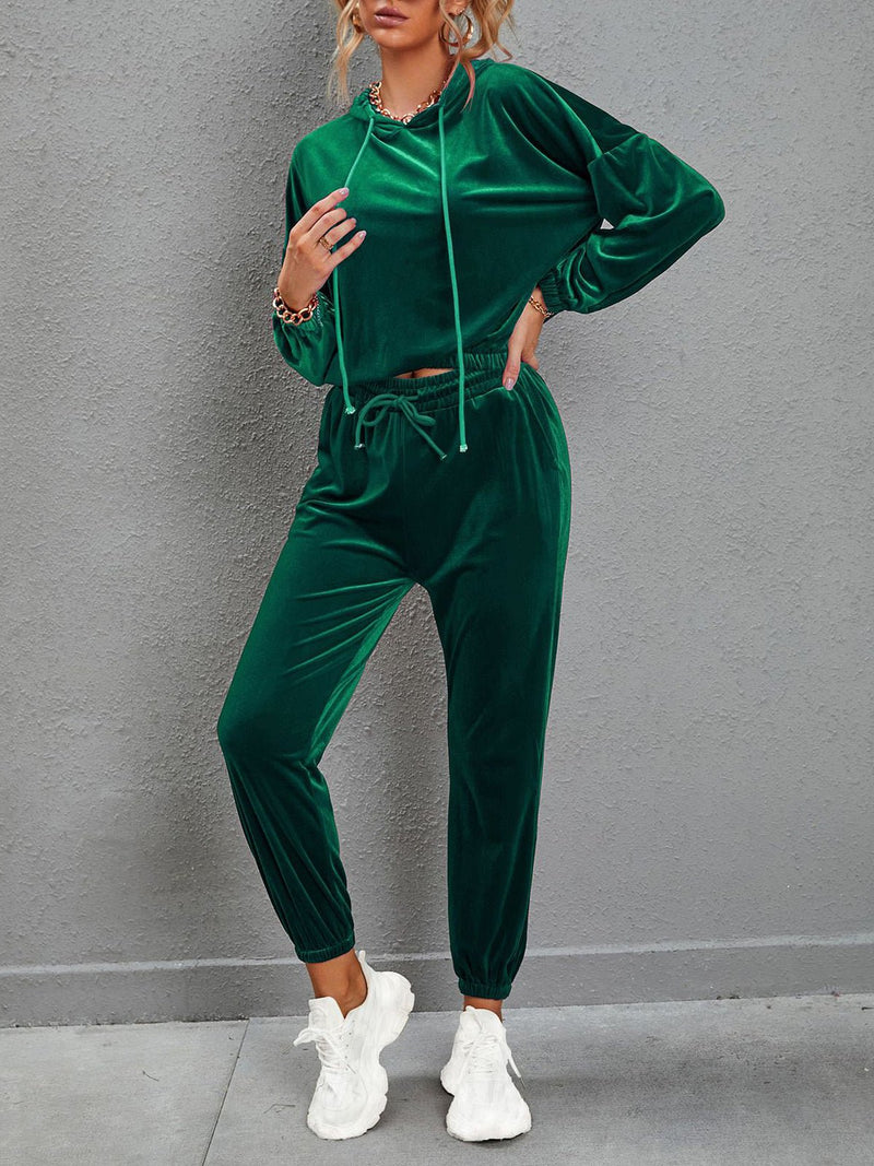 Women's Sets Solid Color Gold Velvet Long Sleeve Casual Set