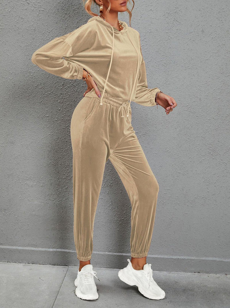 Women's Sets Solid Color Gold Velvet Long Sleeve Casual Set